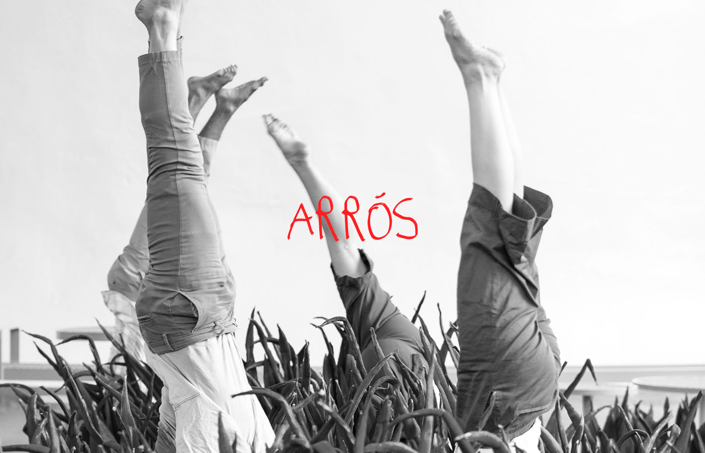 Arros – Anna Mateu y Miguel Barreto